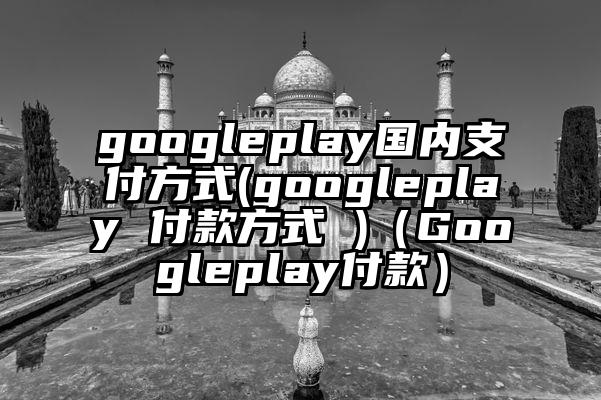 googleplay国内支付方式(googleplay 付款方式 )（Googleplay付款）