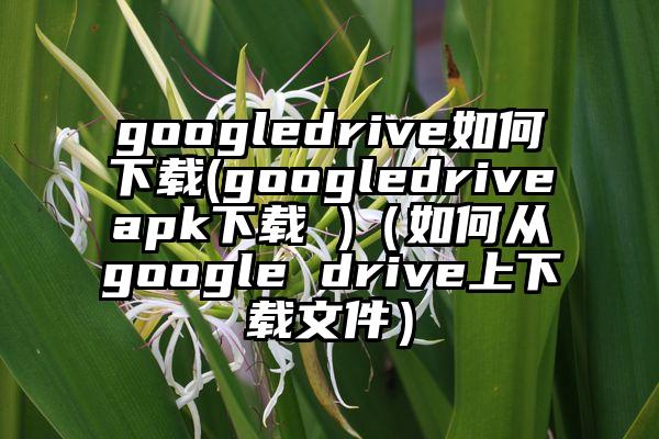 googledrive如何下载(googledriveapk下载 )（如何从google drive上下载文件）
