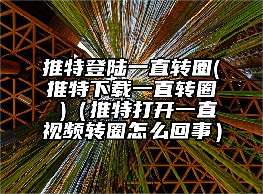 推特登陆一直转圈(推特下载一直转圈 )（推特打开一直视频转圈怎么回事）