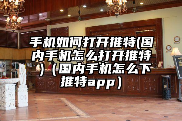 手机如何打开推特(国内手机怎么打开推特 )（国内手机怎么下推特app）