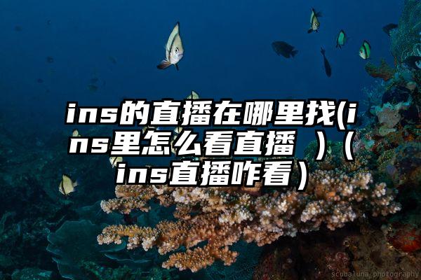 ins的直播在哪里找(ins里怎么看直播 )（ins直播咋看）
