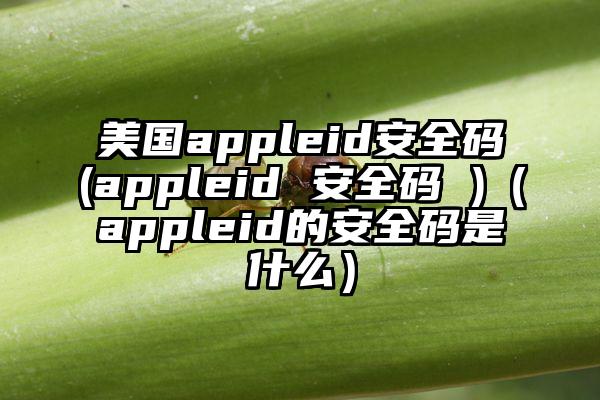 美国appleid安全码(appleid 安全码 )（appleid的安全码是什么）
