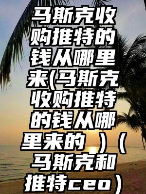马斯克收购推特的钱从哪里来(马斯克收购推特的钱从哪里来的 )(马斯克和推特ceo)