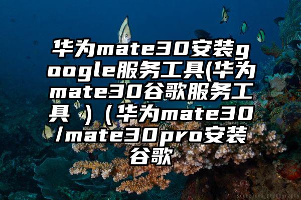 华为mate30安装google服务工具(华为mate30谷歌服务工具 )（华为mate30/mate30pro安装谷歌