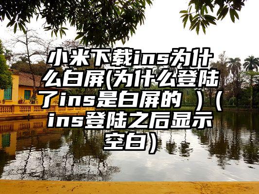 小米下载ins为什么白屏(为什么登陆了ins是白屏的 )（ins登陆之后显示空白）