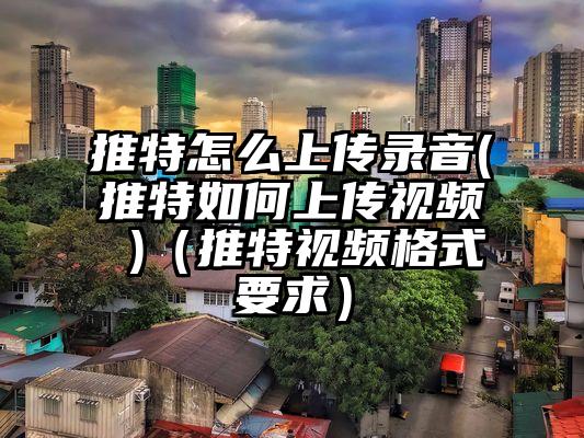 推特怎么上传录音(推特如何上传视频 )（推特视频格式要求）