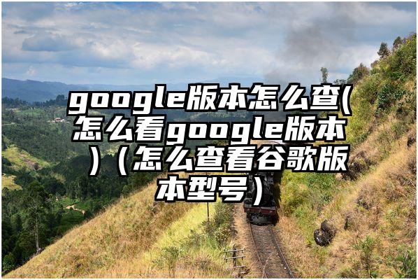 google版本怎么查(怎么看google版本 )（怎么查看谷歌版本型号）