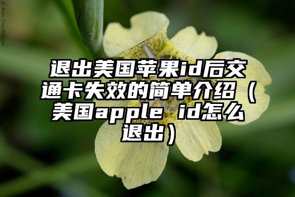 退出美国苹果id后交通卡失效的简单介绍（美国apple id怎么退出）
