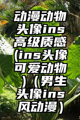 动漫动物头像ins高级质感(ins头像可爱动物 )（男生头像ins风动漫）