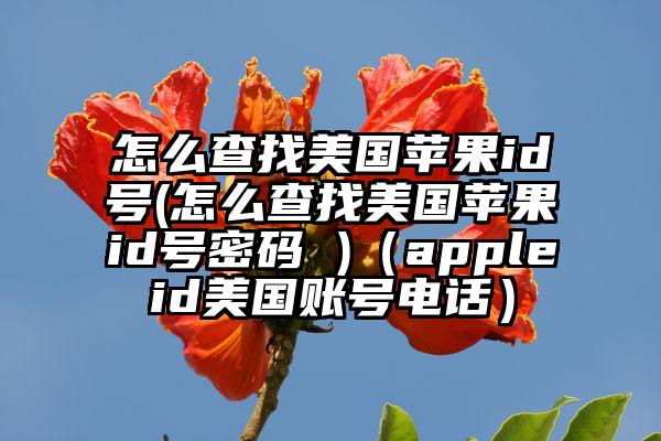 怎么查找美国苹果id号(怎么查找美国苹果id号密码 )(appleid美国账号电话)
