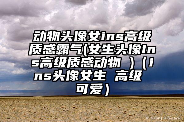 动物头像女ins高级质感霸气(女生头像ins高级质感动物 )（ins头像女生 高级 可爱）