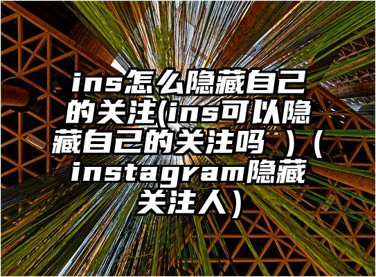ins怎么隐藏自己的关注(ins可以隐藏自己的关注吗 )（instagram隐藏关注人）