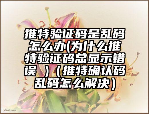 推特验证码是乱码怎么办(为什么推特验证码总显示错误 )（推特确认码乱码怎么解决）