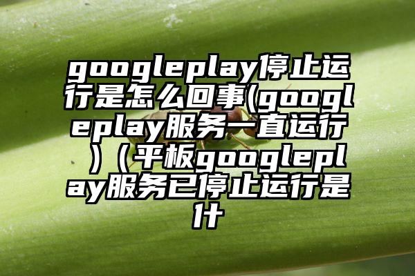 googleplay停止运行是怎么回事(googleplay服务一直运行 )（平板googleplay服务已停止运行是什