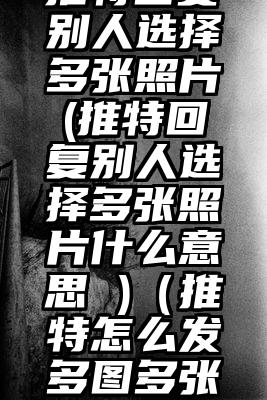 推特回复别人选择多张照片(推特回复别人选择多张照片什么意思 )（推特怎么发多图多张图片）