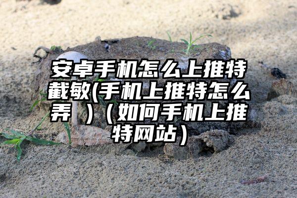 安卓手机怎么上推特截敏(手机上推特怎么弄 )（如何手机上推特网站）