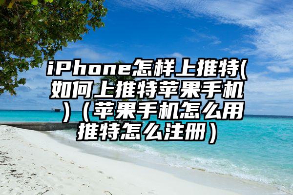 iPhone怎样上推特(如何上推特苹果手机 )（苹果手机怎么用推特怎么注册）