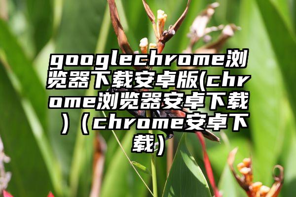 googlechrome浏览器下载安卓版(chrome浏览器安卓下载 )（chrome安卓下载）