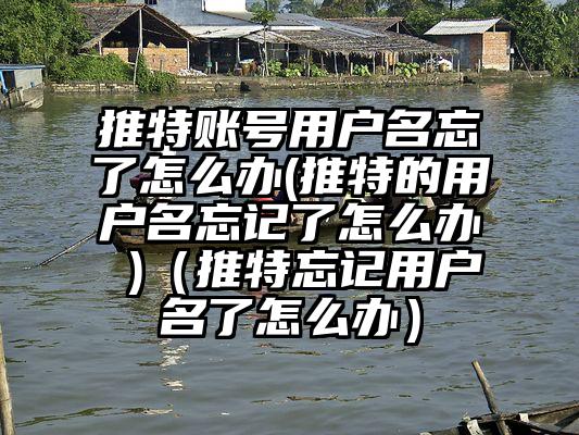 推特账号用户名忘了怎么办(推特的用户名忘记了怎么办 )（推特忘记用户名了怎么办）