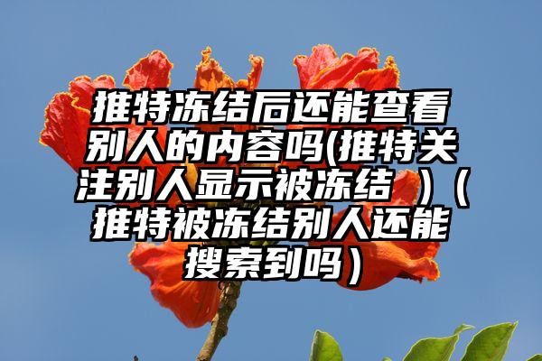 推特冻结后还能查看别人的内容吗(推特关注别人显示被冻结 )（推特被冻结别人还能搜索到吗）