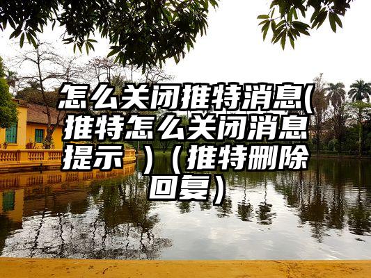 怎么关闭推特消息(推特怎么关闭消息提示 )（推特删除回复）