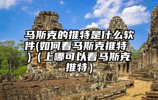 马斯克的推特是什么软件(如何看马斯克推特 )（上哪可以看马斯克推特）