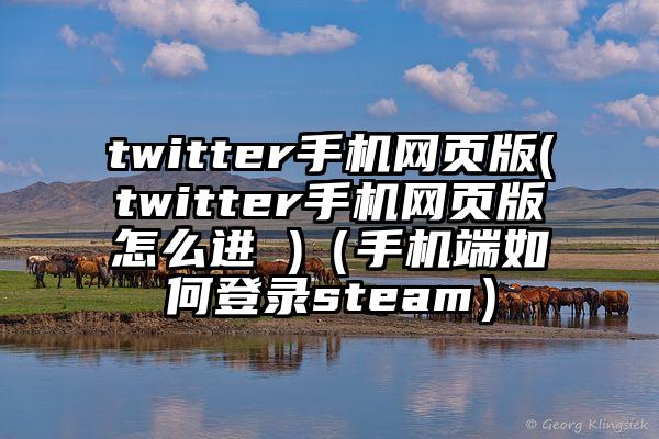 twitter手机网页版(twitter手机网页版怎么进 )（手机端如何登录steam）