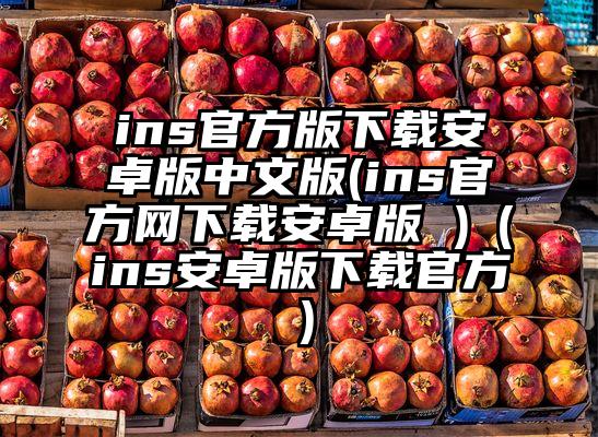 ins官方版下载安卓版中文版(ins官方网下载安卓版 )（ins安卓版下载官方）