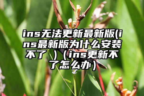 ins无法更新最新版(ins最新版为什么安装不了 )（ins更新不了怎么办）