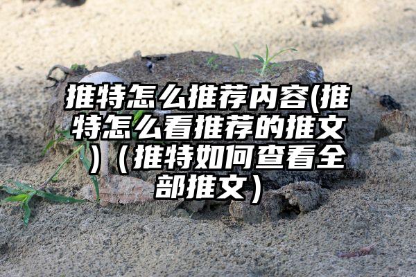 推特怎么推荐内容(推特怎么看推荐的推文 )（推特如何查看全部推文）