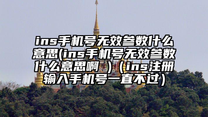 ins手机号无效参数什么意思(ins手机号无效参数什么意思啊 )（ins注册输入手机号一直不过）