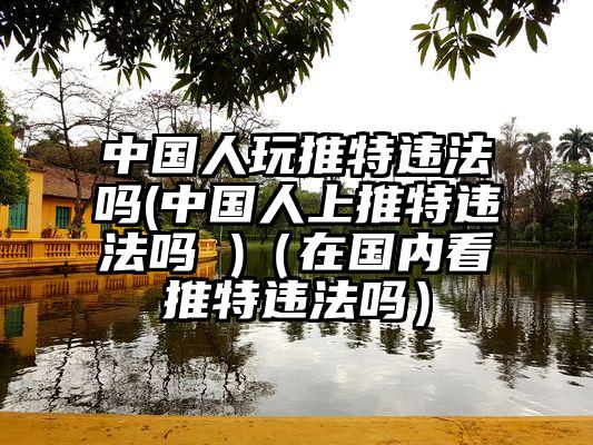 中国人玩推特违法吗(中国人上推特违法吗 )（在国内看推特违法吗）