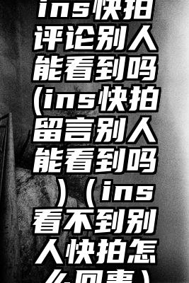 ins快拍评论别人能看到吗(ins快拍留言别人能看到吗 )（ins看不到别人快拍怎么回事）