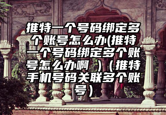 推特一个号码绑定多个账号怎么办(推特一个号码绑定多个账号怎么办啊 )（推特手机号码关联多个账号）