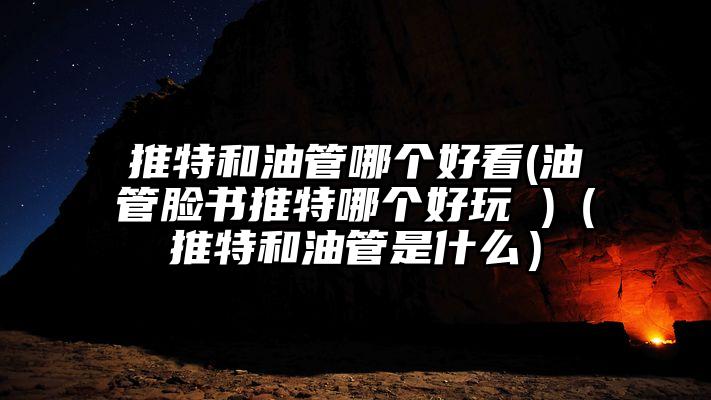 推特和油管哪个好看(油管脸书推特哪个好玩 )（推特和油管是什么）