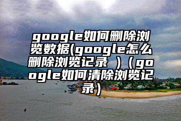 google如何删除浏览数据(google怎么删除浏览记录 )（google如何清除浏览记录）