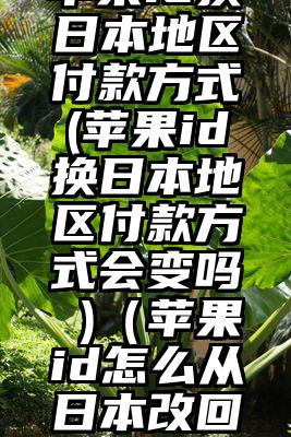 苹果id换日本地区付款方式(苹果id换日本地区付款方式会变吗 )(苹果id怎么从日本改回中国)