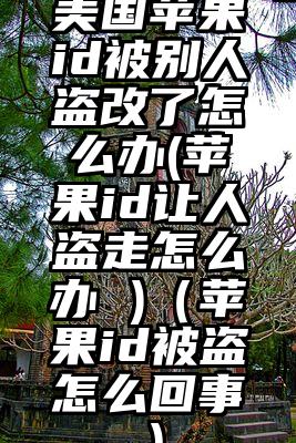 美国苹果id被别人盗改了怎么办(苹果id让人盗走怎么办 )（苹果id被盗怎么回事）