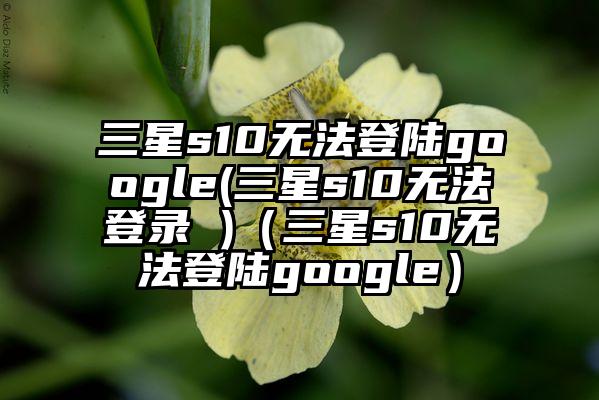 三星s10无法登陆google(三星s10无法登录 )（三星s10无法登陆google）