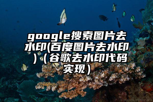 google搜索图片去水印(百度图片去水印 )（谷歌去水印代码实现）