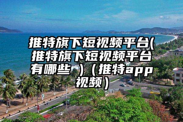 推特旗下短视频平台(推特旗下短视频平台有哪些 )（推特app视频）