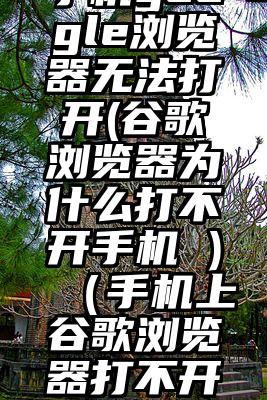 手机google浏览器无法打开(谷歌浏览器为什么打不开手机 )（手机上谷歌浏览器打不开）