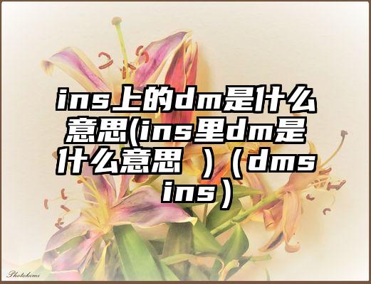 ins上的dm是什么意思(ins里dm是什么意思 )（dms ins）