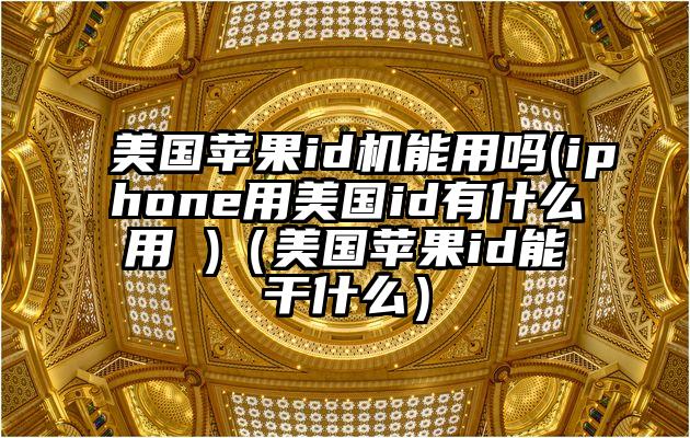 美国苹果id机能用吗(iphone用美国id有什么用 )（美国苹果id能干什么）