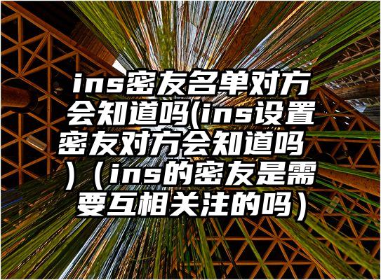 ins密友名单对方会知道吗(ins设置密友对方会知道吗 )（ins的密友是需要互相关注的吗）