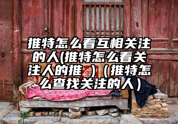 推特怎么看互相关注的人(推特怎么看关注人的推 )（推特怎么查找关注的人）