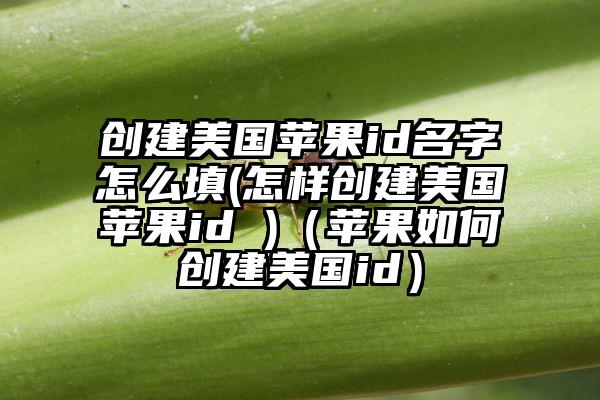 创建美国苹果id名字怎么填(怎样创建美国苹果id )（苹果如何创建美国id）