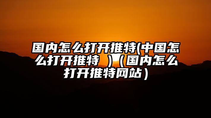 国内怎么打开推特(中国怎么打开推特 )（国内怎么打开推特网站）