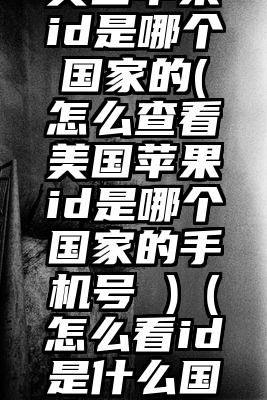 怎么查看美国苹果id是哪个国家的(怎么查看美国苹果id是哪个国家的手机号 )（怎么看id是什么国家的电话）