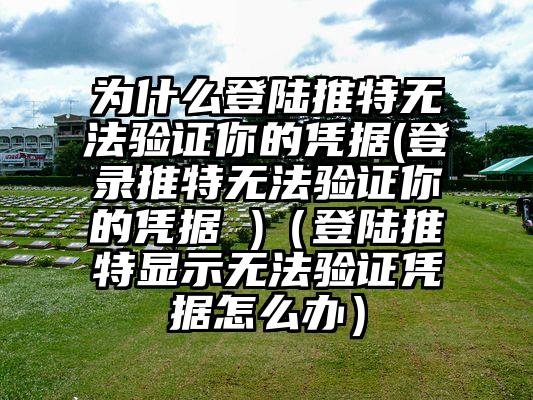 为什么登陆推特无法验证你的凭据(登录推特无法验证你的凭据 )（登陆推特显示无法验证凭据怎么办）